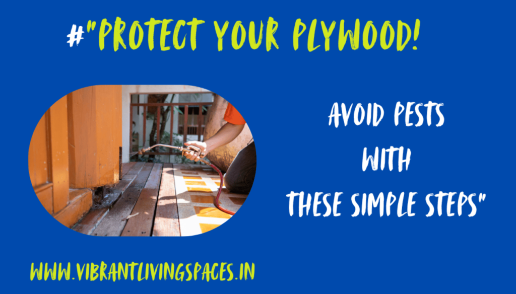 “Protect Your Plywood! Avoid Pests with These Simple Steps”